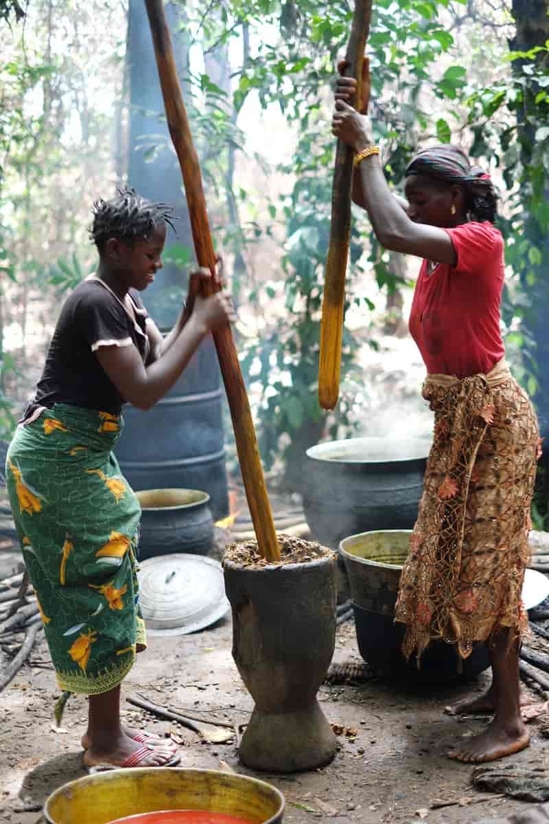 Guineanske kvinner lager palmeolje