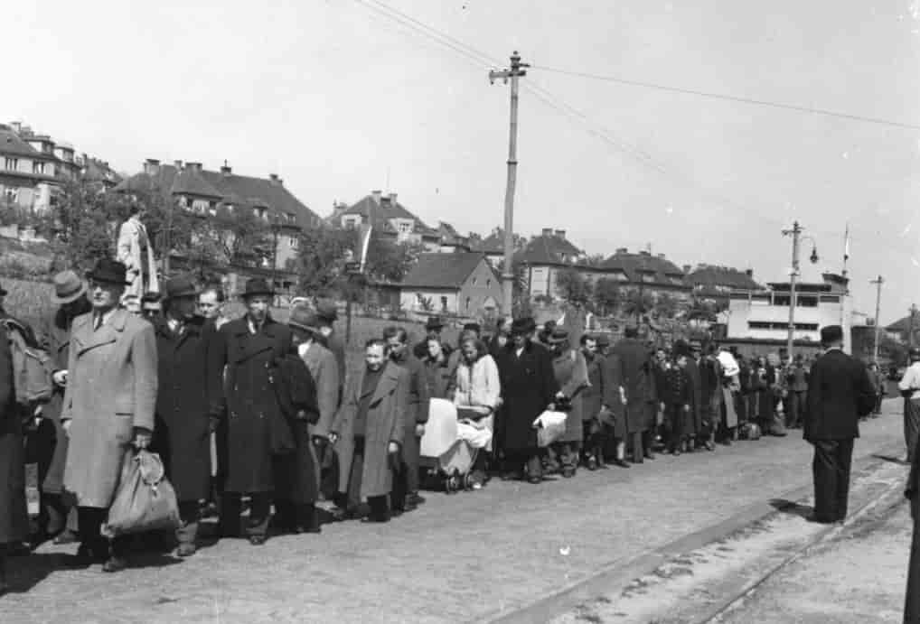 Sudettyskere interneres 10. mai 1945