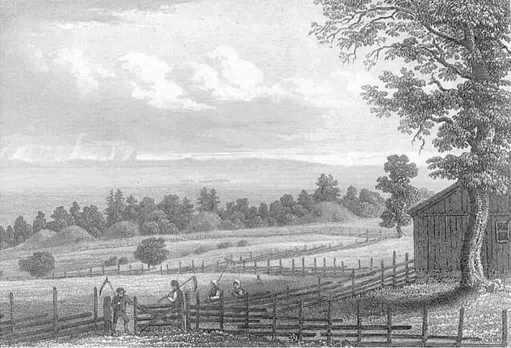 Storhaugene på Borre, slik Johannes Flintoe så dem i 1832