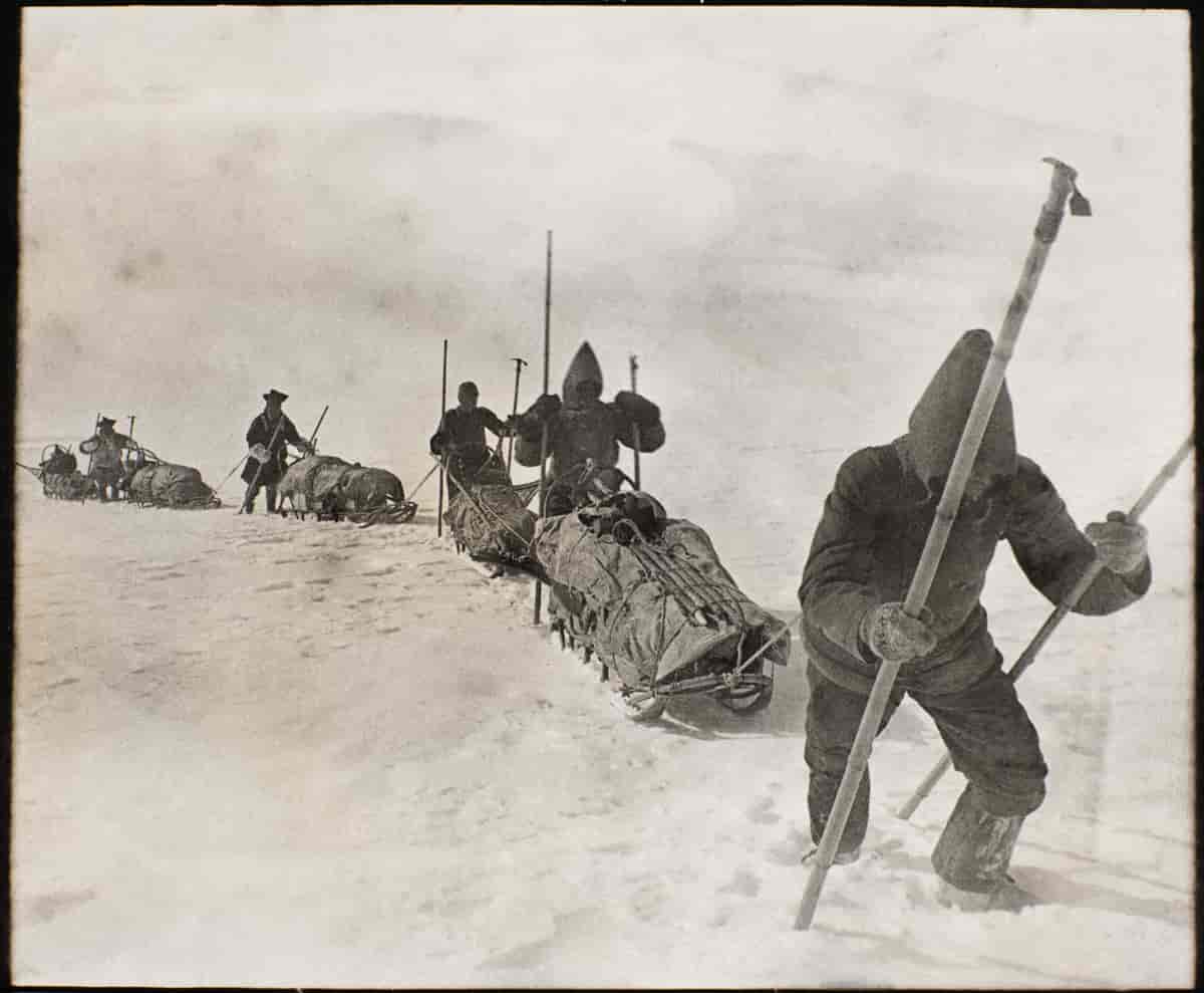 Svart/hvitt bilde av flere menne som går over et snødekt landskap. Det er flere sleder som blir trykket av mennene, og de holder seg i lange stokker, som støtte.