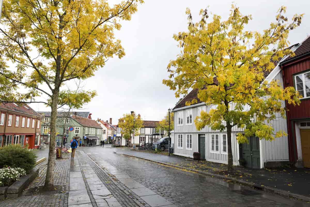 Et gatemotiv med gule trær og trehus i bakgrunnen. 