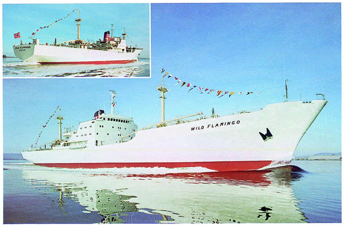 M/S Wild Flamingo. Kjøle- og fryseskip bygget for verdens største skipsrederi, P&O i England.