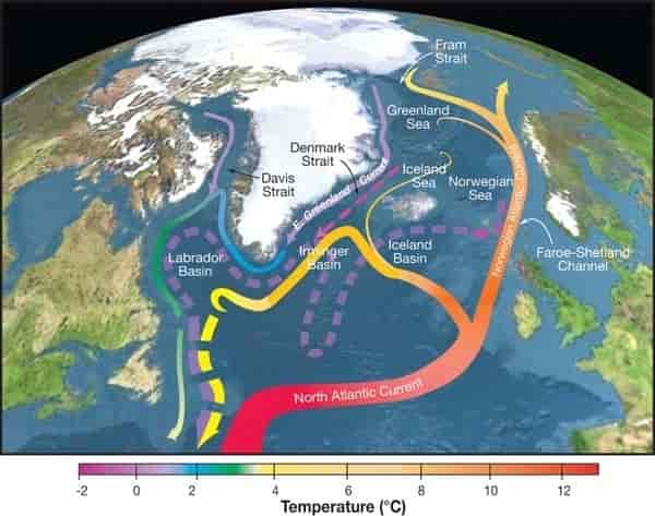Den termohaline sirkulasjon i Nord-Atlanteren