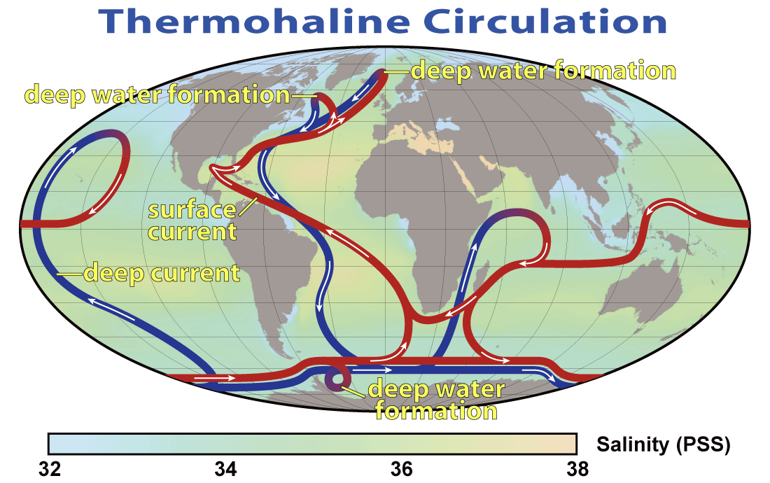Den globale termohaline sirkulasjonen