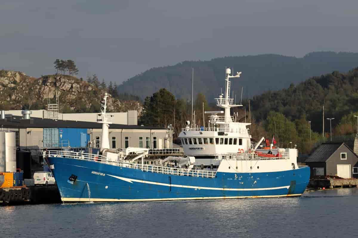 Ensilasjebåten Hordafor III