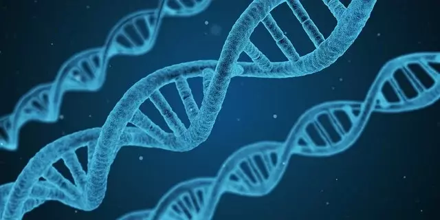 Biomedisinske årsaksforklaringer er opptatt av gener