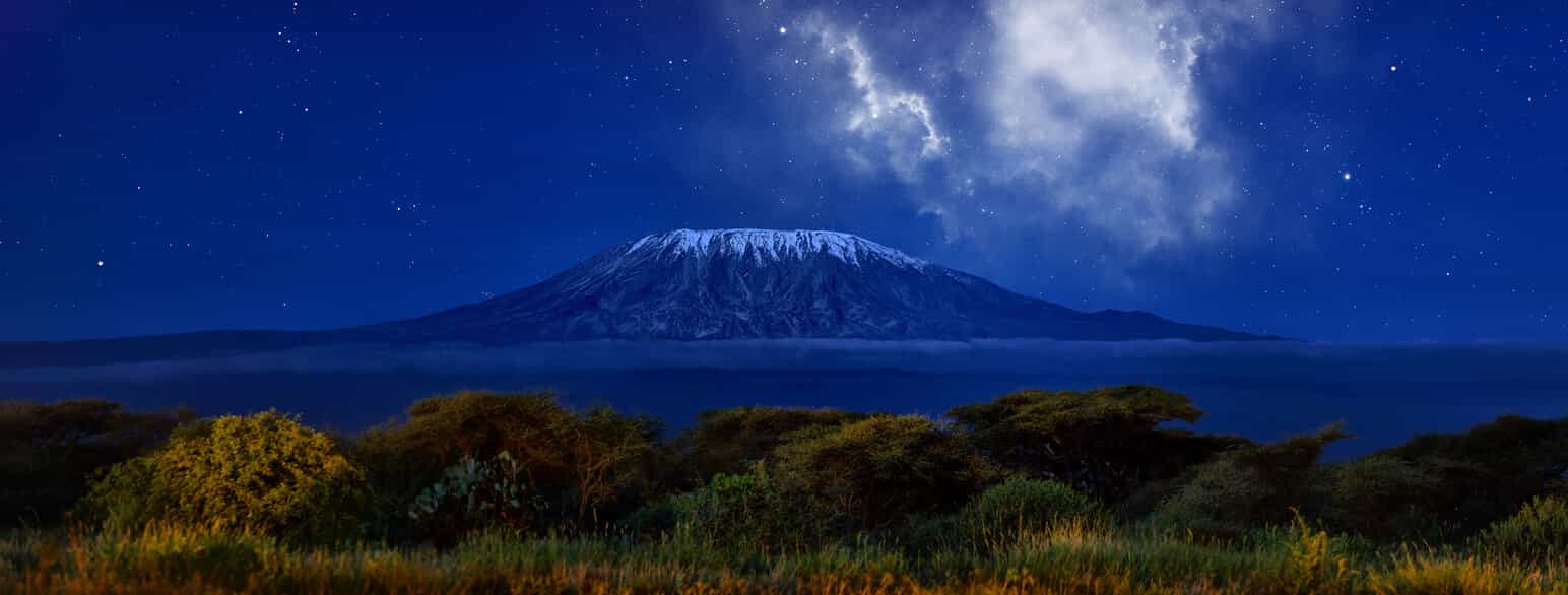Kilimanjaro under stjernehimmel