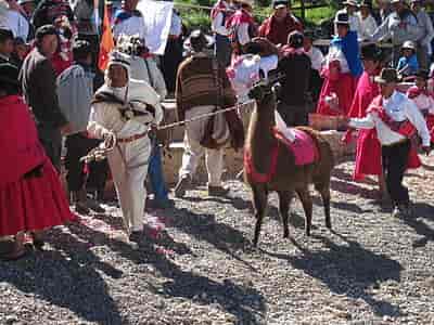 Aymara-festival.
