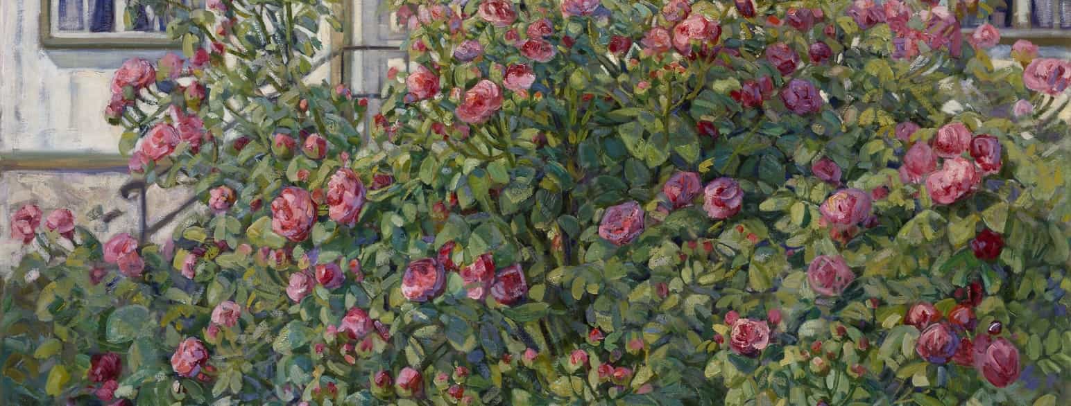 Rosebusken