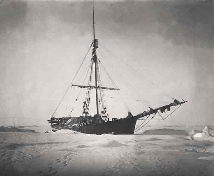 svart-kvitt foto av seglskute i isen