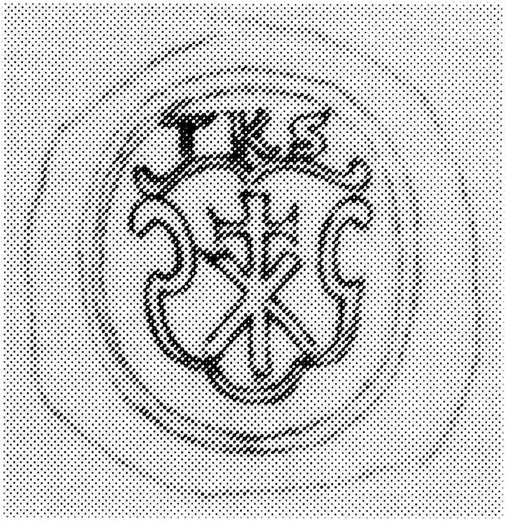 Trond Klaussøns bumerke i skjold 1601