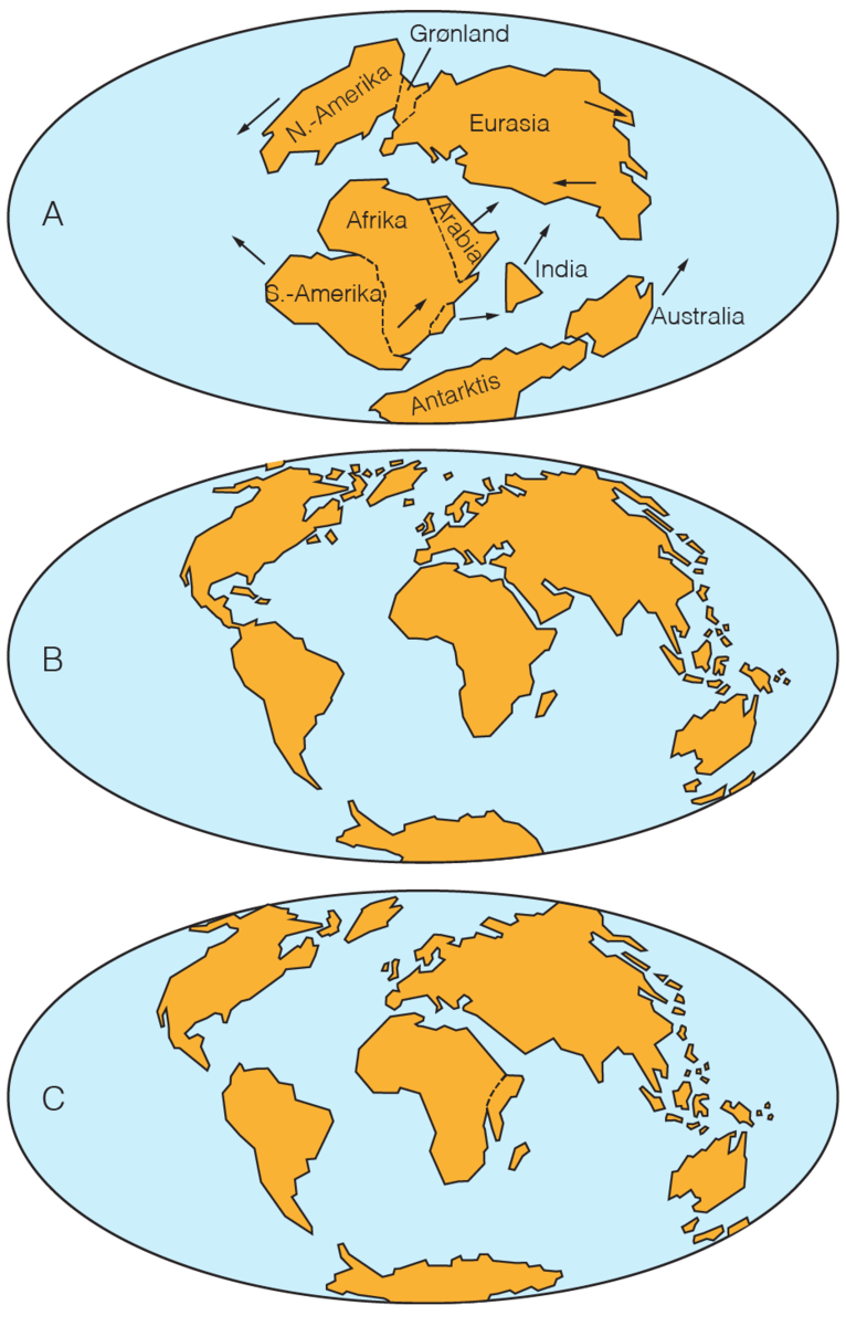 Tegningen viser tre jordkloder. På den første henger Nord-Amerika, Grønland og Eurasia sammen. Under disse henger Afrika og Sør-Amerika sammen. Helt nederst ligger Australia tett på Antarktis. Piler viser i hvilken retning de beveger seg. På neste bilde har alle kontinentene beveget seg noe fra hverandre, men Sør-Amerika har beveget seg inn til Nord-Amerika. Afrika har nærmet seg Eurasia. På det siste bildet er kontinentene fortsatt fra hverandre, men nå har Sør-Amerika og Nord-Amerika også beveget seg bort fra hverandre.