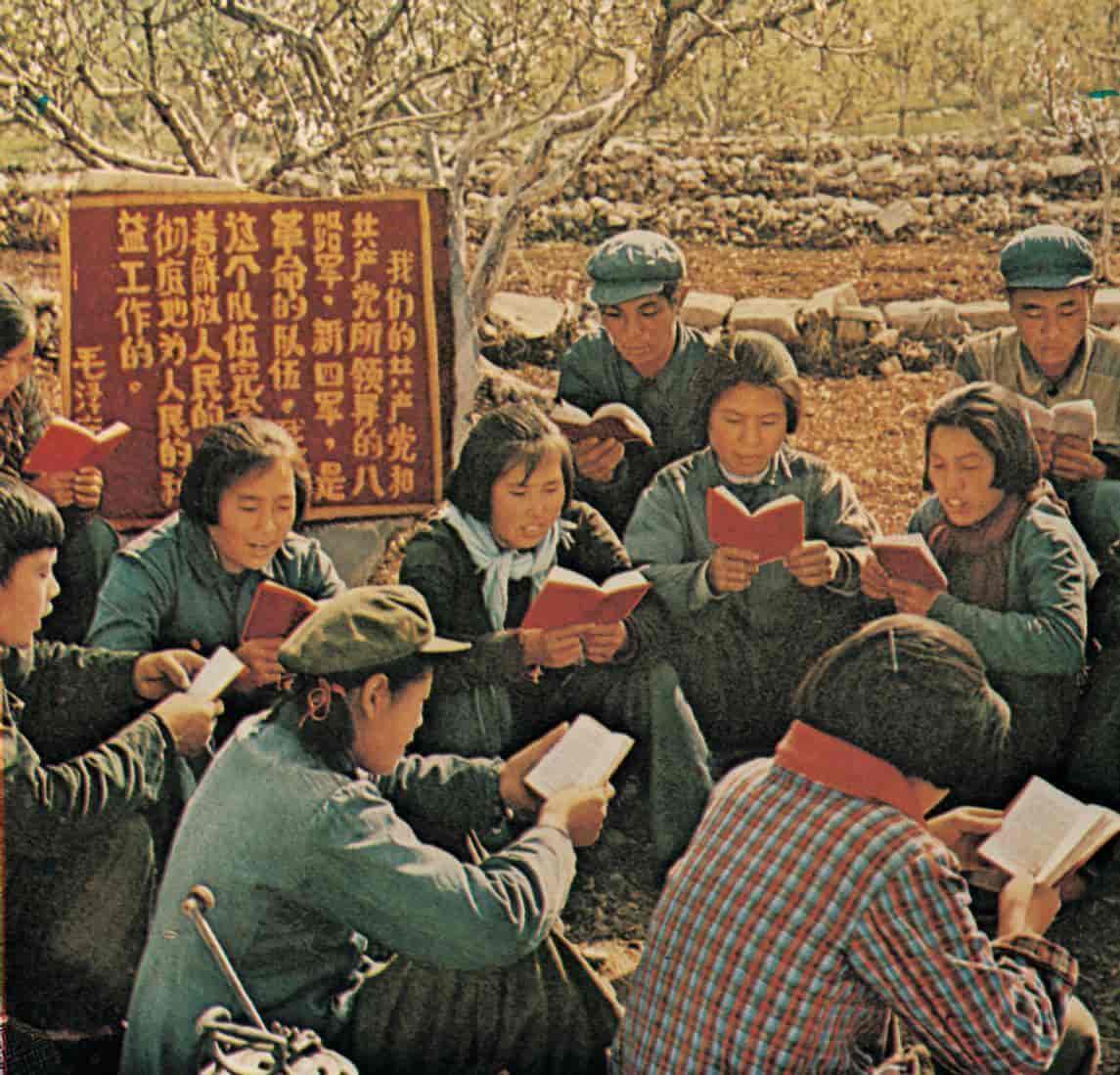 Kulturrevolusjonen, kollektiv lesing av Maos lille raude bok