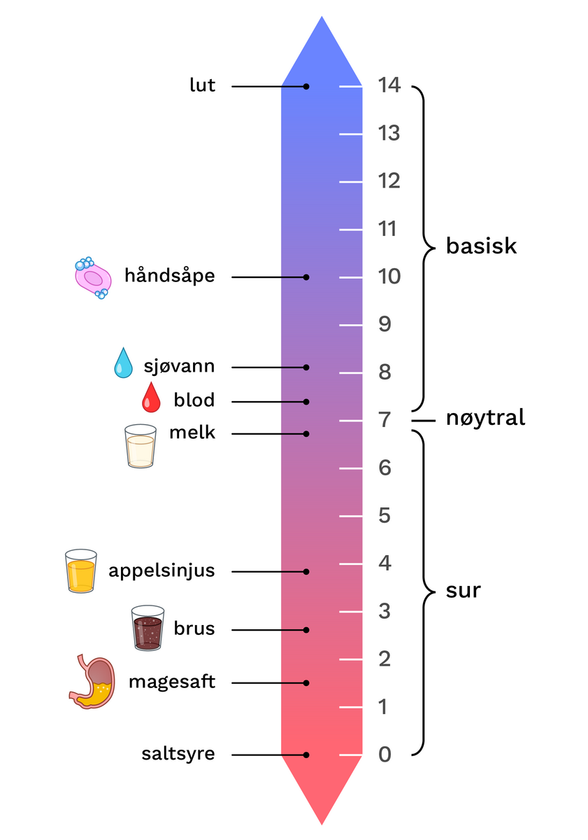 Skalaen går fra 0 til 14 og endrer gradvis farge fra rød (pH 0) via lilla (pH 7) til rød (pH 14). pH-en til vanlige væsker er markert inn på skalaen: magesaft (1,5), brus (2,6), appelsinjus (cirka 3,8), melk (6,7), blod (7,4), sjøvann (8,1), håndsåpe (cirka 10). På ytterkantene er saltsyre (0) og lut (14)