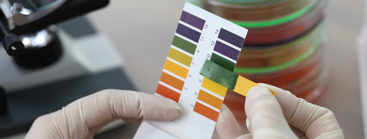 En fargeskala holdes i venstre hånd, mens høyre hånd holder et pH-papir fra en prøve. 