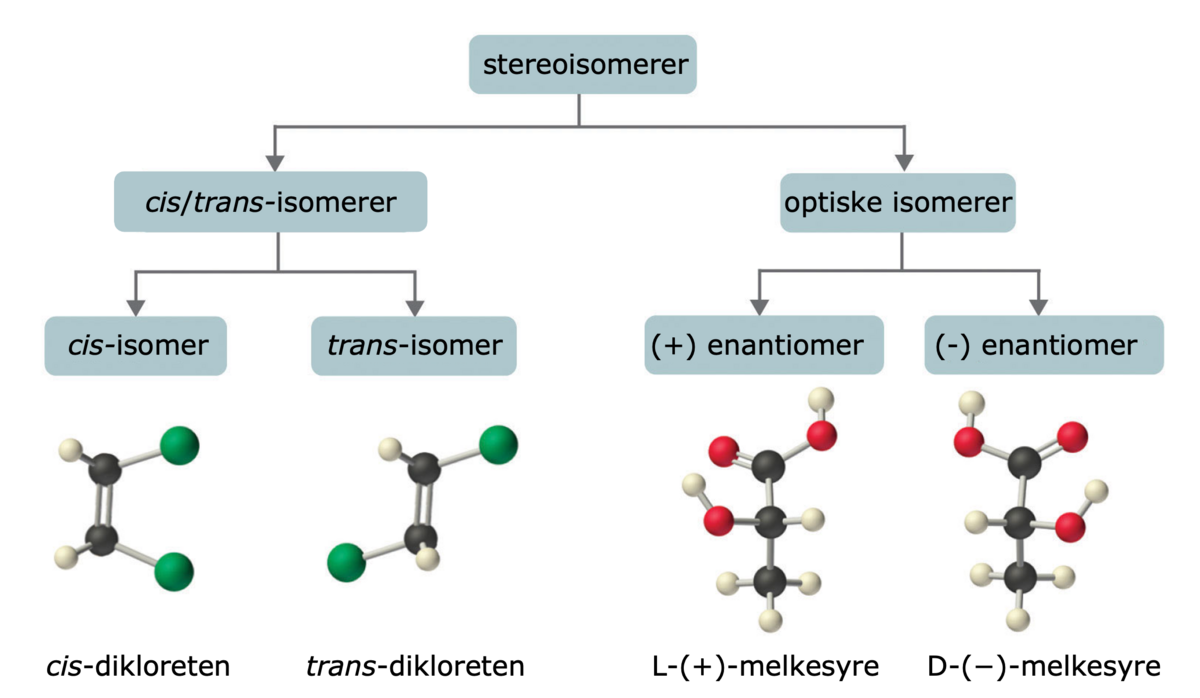 Oversikt over stereoisomerer