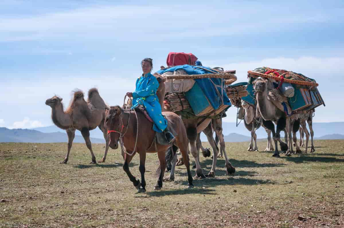 kvinne rir på en hest og leier to kameler pakket med mye utstyr