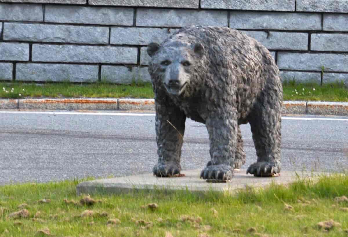 Bjørnen finnes både i kommunevåpenet og som statue ved riksvei 7.