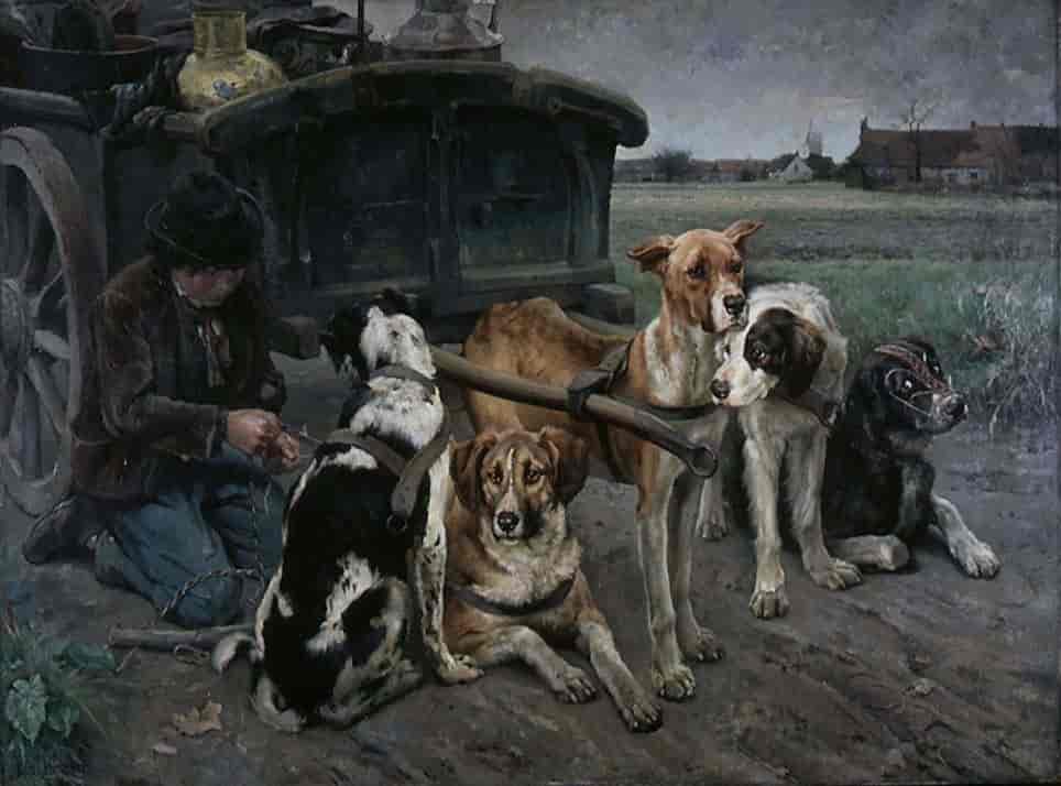 Flamsk hundeforspann