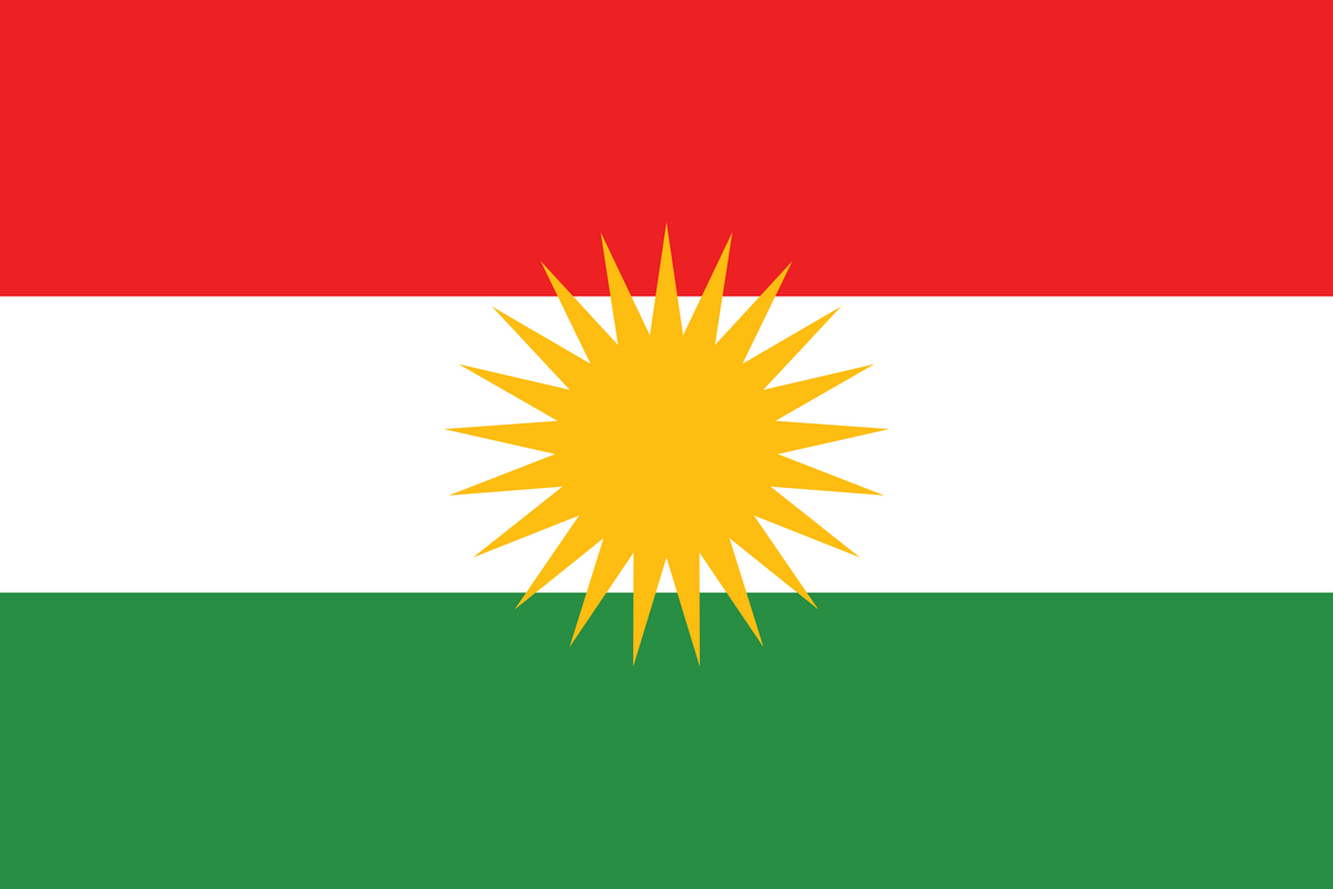 flagg som har rød stripe øverst, hvit i midten og grønn stripe nederst. en gul sol midt på flagget