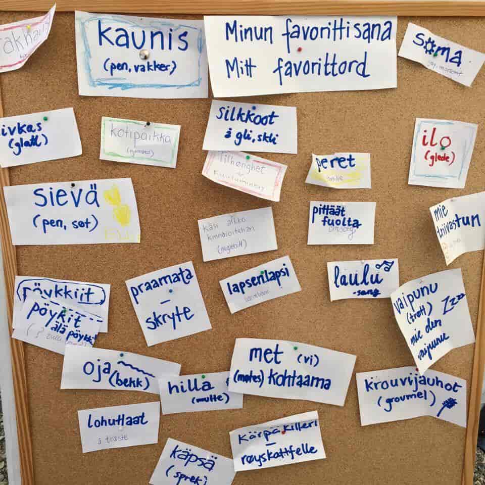 Ulike ord skrevet på lapper på en oppslagstavle på norsk og kvensk. For eksempel "kaunis", som betyr pen, "ilo" som betyr glede "silkkoot" som betyr å gli.