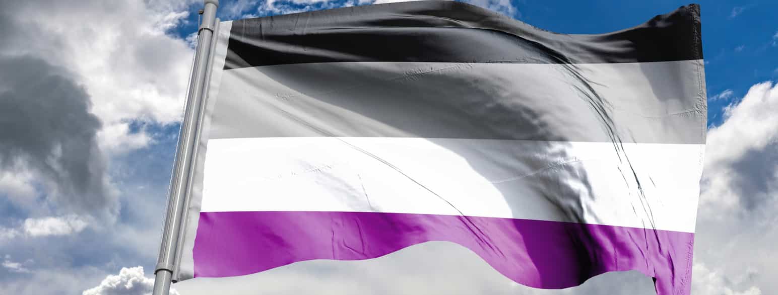 Det aseksuelle stolthetsflagget har fire striper:
- Svart
- Grått
- Hvitt
- Lilla