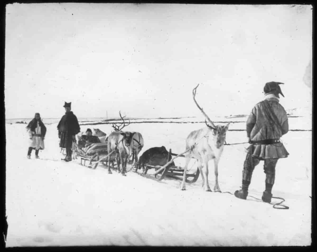 Sogneprest Nicolai Horneman, fotografert sittende i en slede som trekkes av tre reinsdyr. En same med samisk lue står foran sleden med kjørereinen. Kjørereinen har bare et horn. Bak står en same til, i pesk og en samisk kvinne står helt til venstre i bildet, med sjal over skuldrene. 