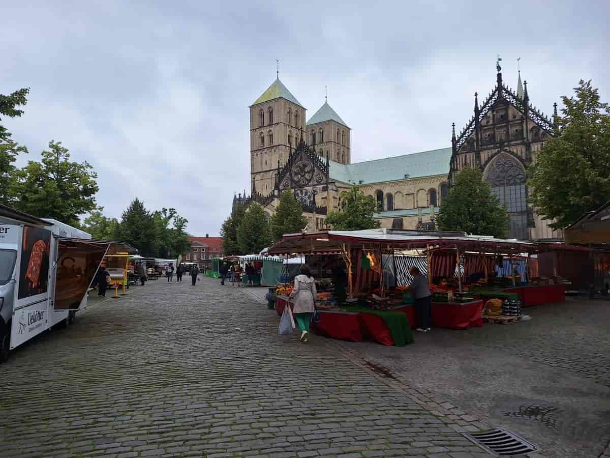 St. Paulus-domen og Ukentlig marked på Domplatz i Münster