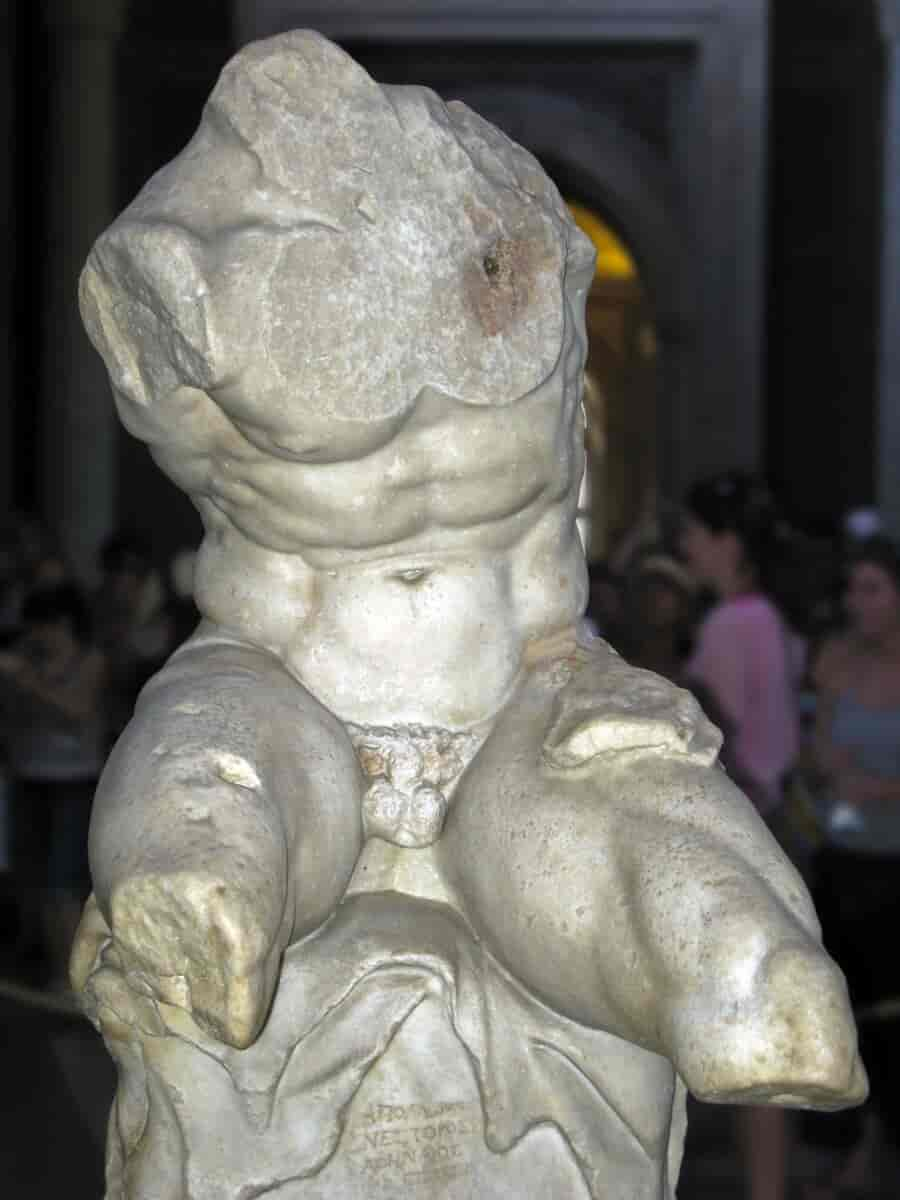 Torso Belvedere