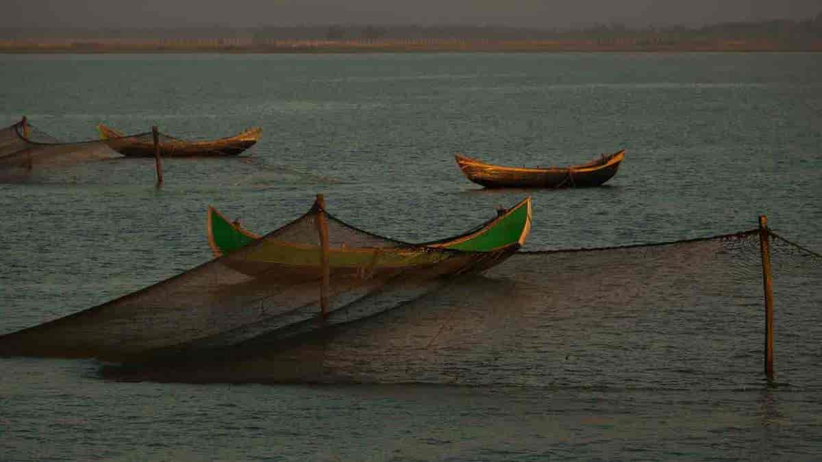 Fiske i Bangladesh