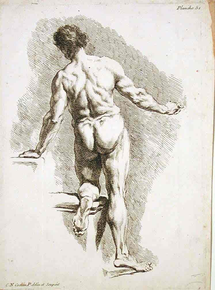 Mannlig aktmodell tegnet av Charles Nicolas Cochin –den yngre (1715-1790)