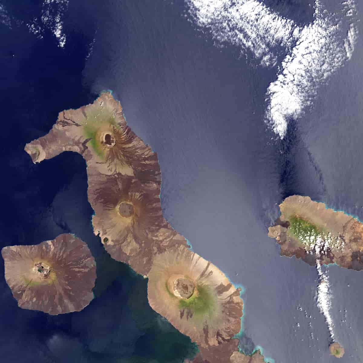 Galapagosøyene