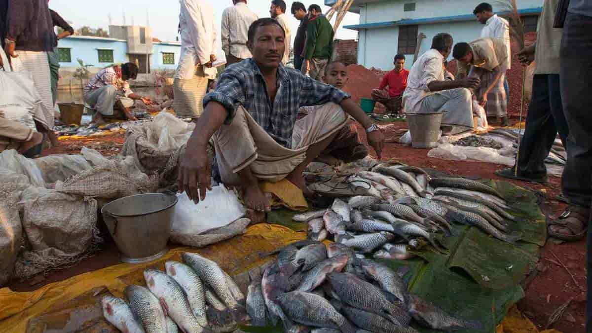 Fiskemarked i Chittagong