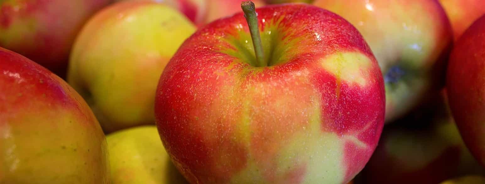 Epler gjennomgår klimakterie