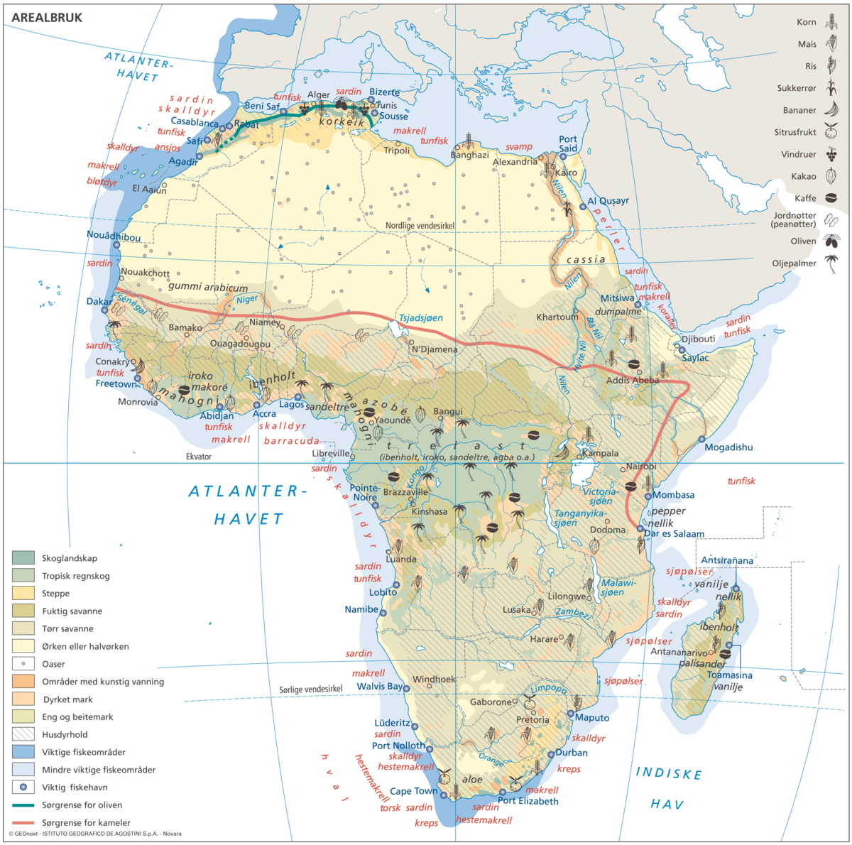 Afrika, øk. kart