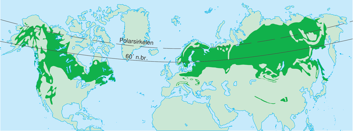 Boreale barskogssone (kart)