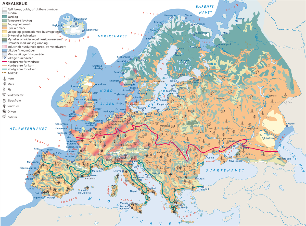 Europa, Kart: Arealbruk