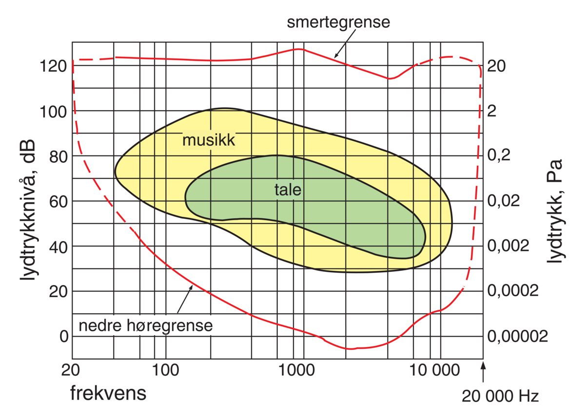 Hørsel (diagram, menneskeøre)