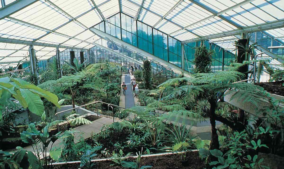 Botanisk hage (Kew Gardens)