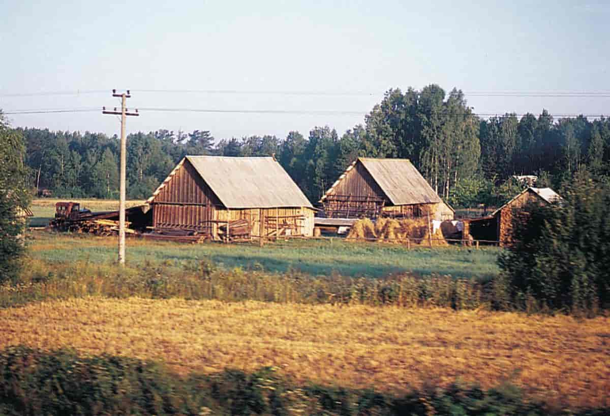 Hviterussland, landbruk