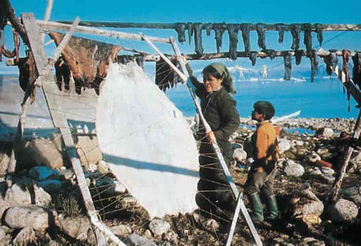 Inuit (selskinntørking)