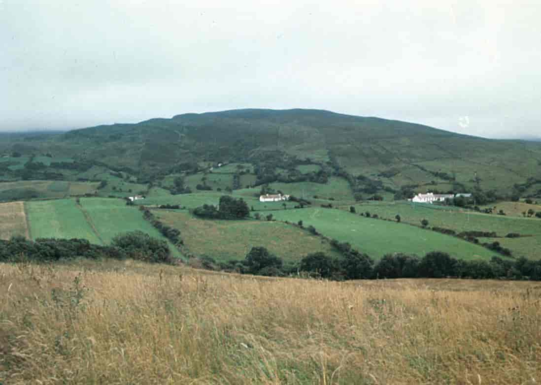 Irland (Jordbruk) (landskap)