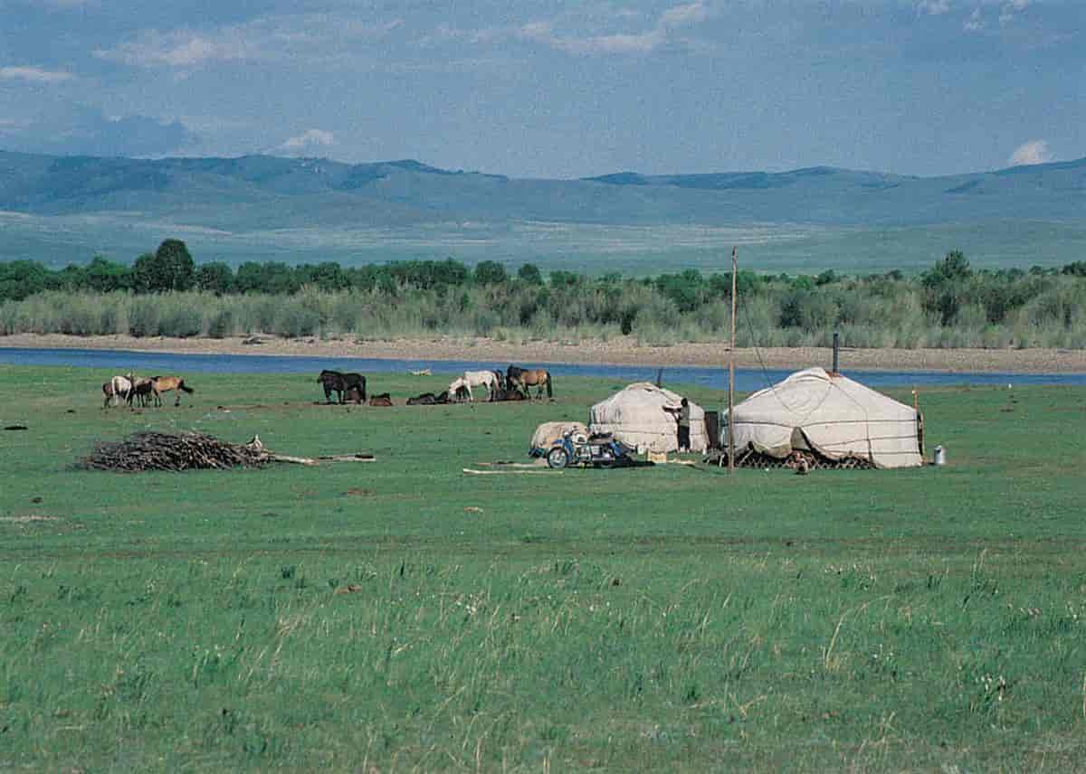 Mongolia (Natur) (steppe)