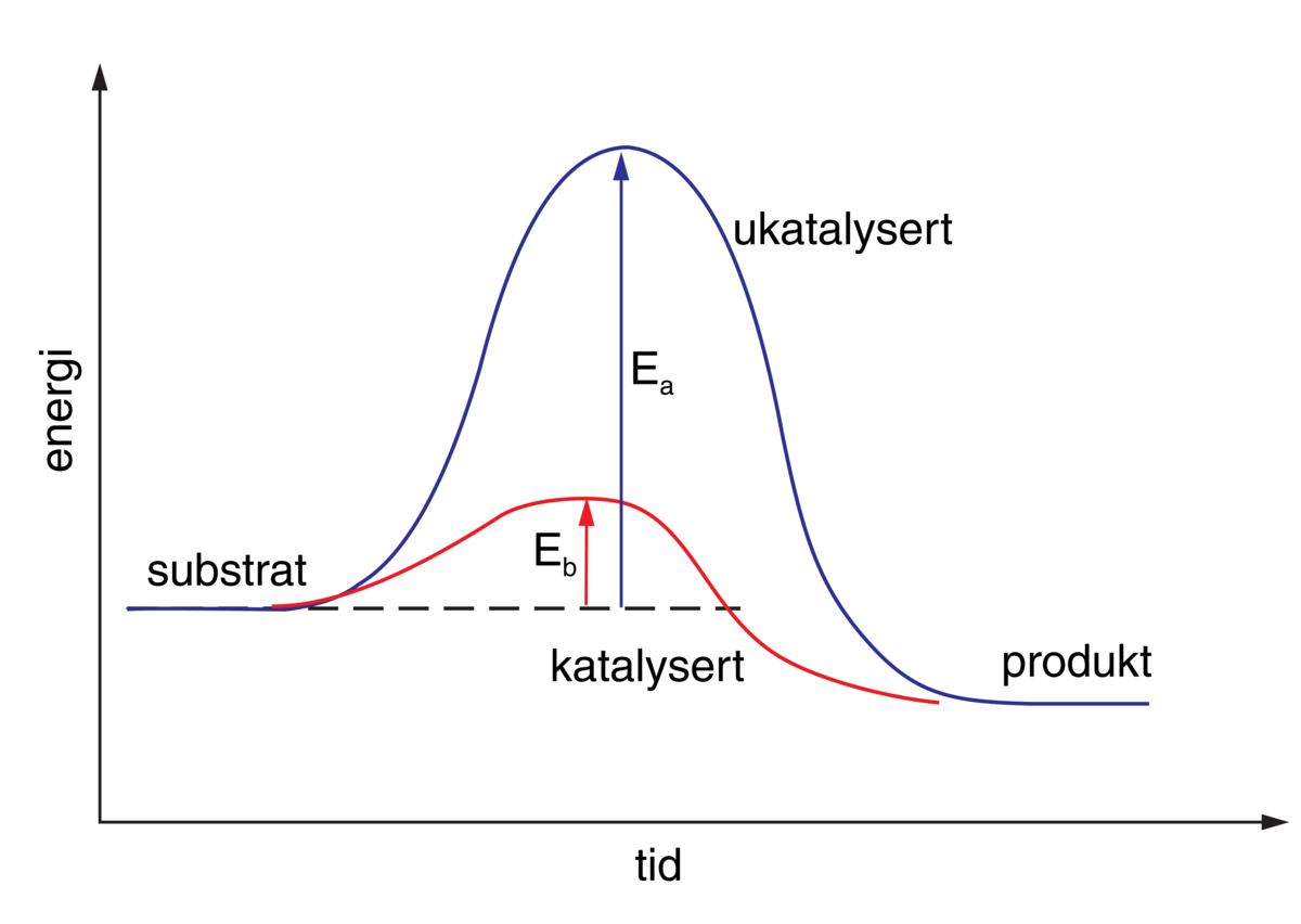 Enzymer, energidiagram