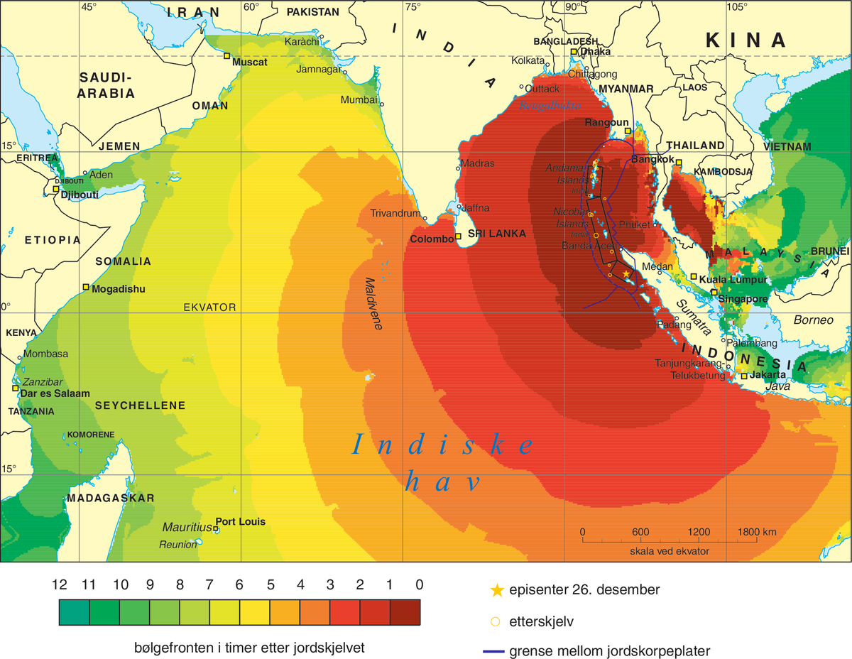 Tsunami (kart)