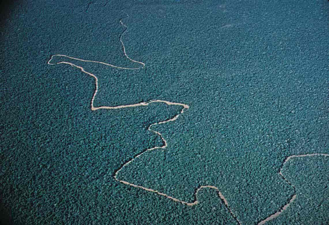 Amazonas (luftfoto)