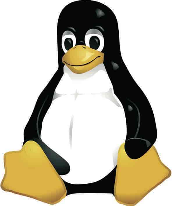 datamaskin (Historikk) (Linux)