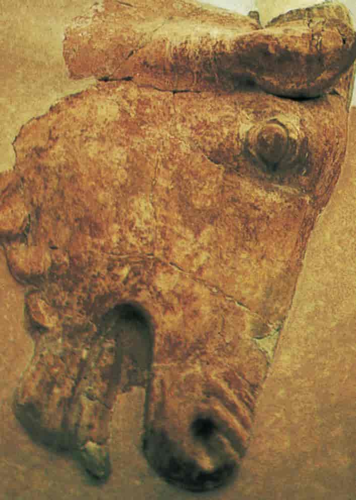 Knossos (oksehoderelieff)