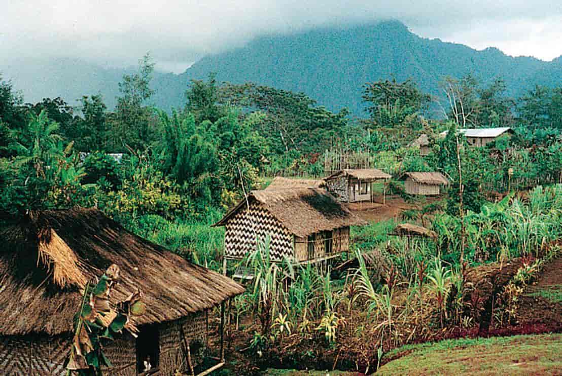 Papua Ny-Guinea (Befolkning) (landsby, Herowana)