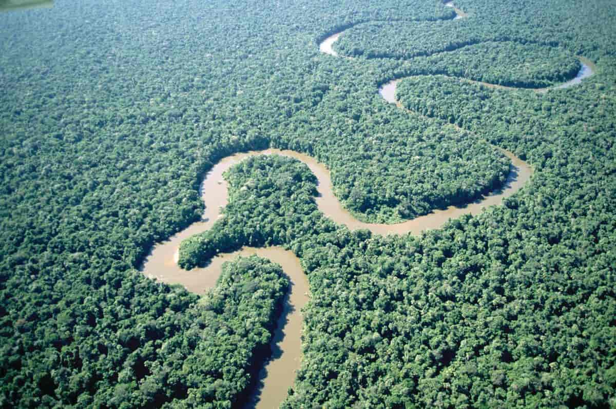 Амазонка полноводна круглый год. Амазонка и Ориноко. Река Ориноко Южная Америка. Венесуэла река Ориноко. Река Амазонка Ориноко.